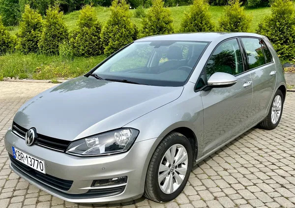 volkswagen golf Volkswagen Golf cena 41999 przebieg: 243155, rok produkcji 2016 z Jasień